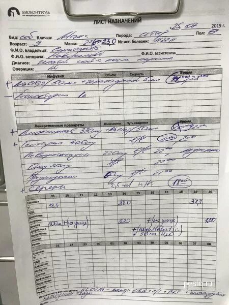 Заполнение листа назначения