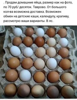 Авито продать яйцо