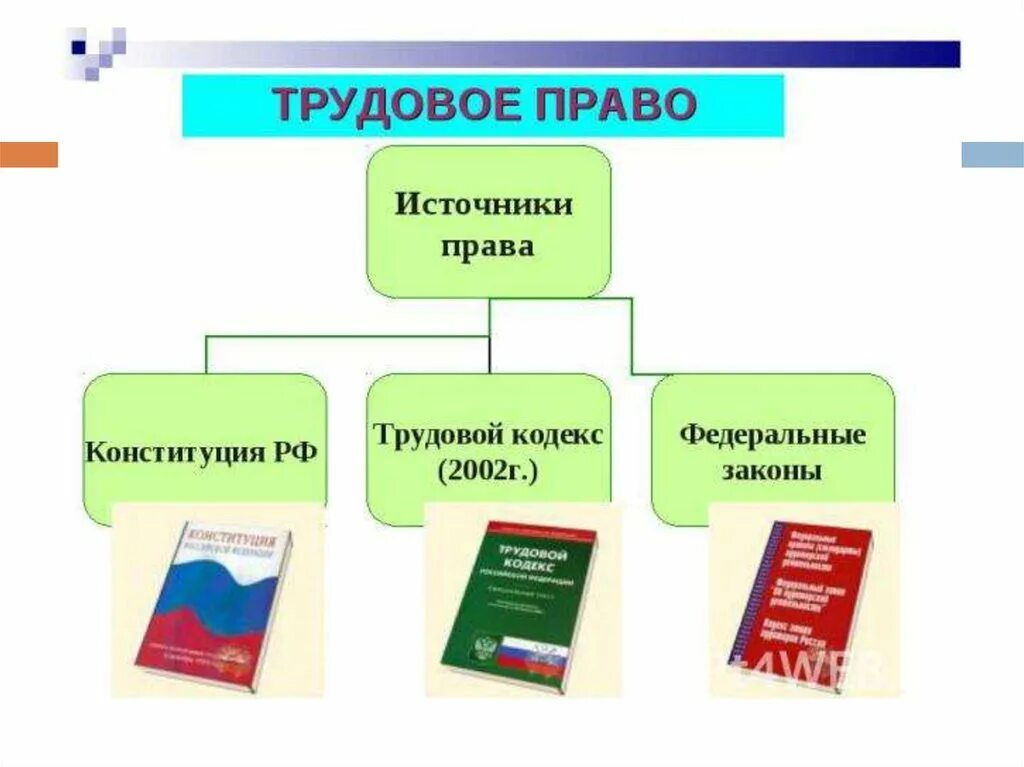 Трудовое право. Источники трудового законодательства.