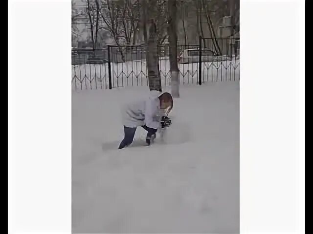 Став школа 4