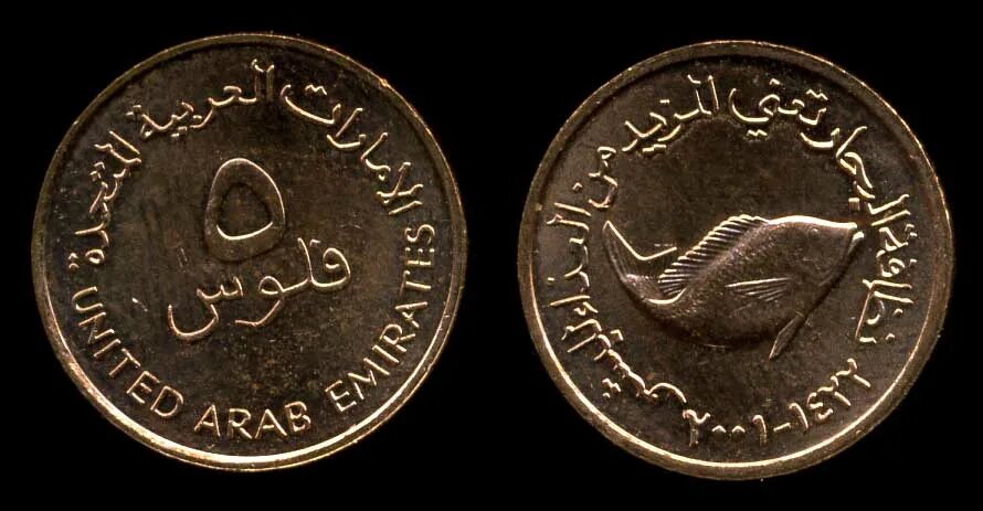18 дирхам. 10 Филсов ОАЭ. ОАЭ 10 филсов 1996-2011. 10 Дирхам. Монета с оленем арабские эмираты.