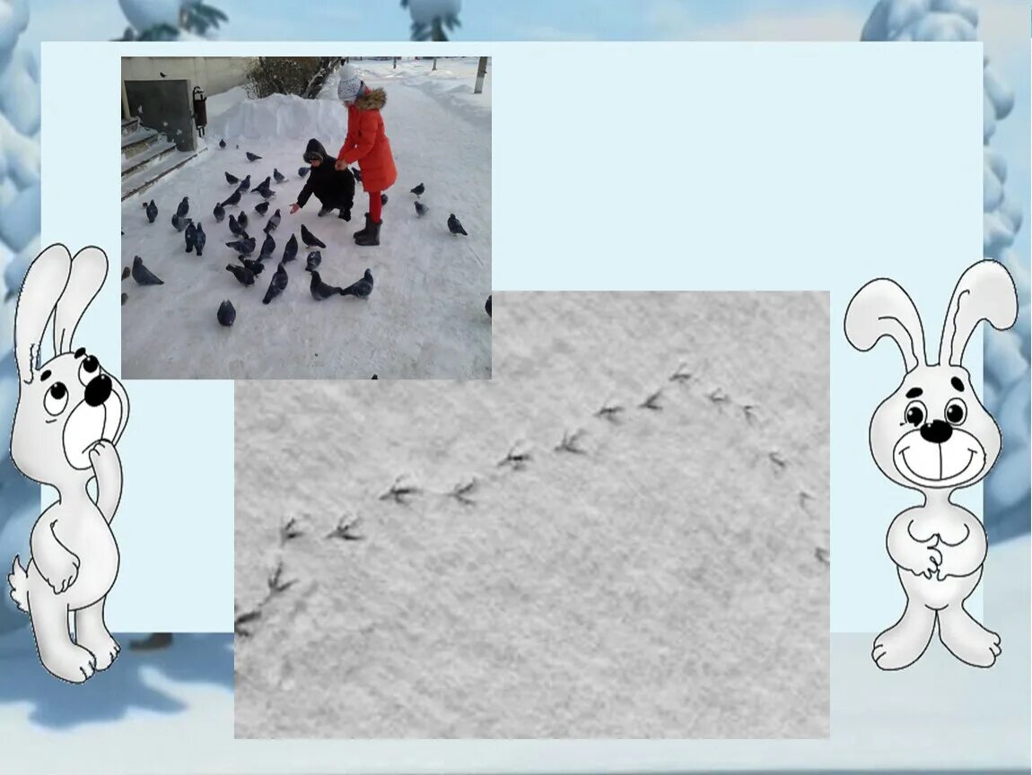 Следы зверей на снегу. Следы животных зимой на снегу. Следы животных на снегу 2 класс. Дидакттческая игра "чьи следы". Следы животных.