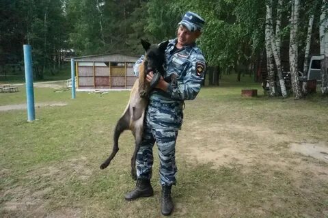 Кинологические лагеря
