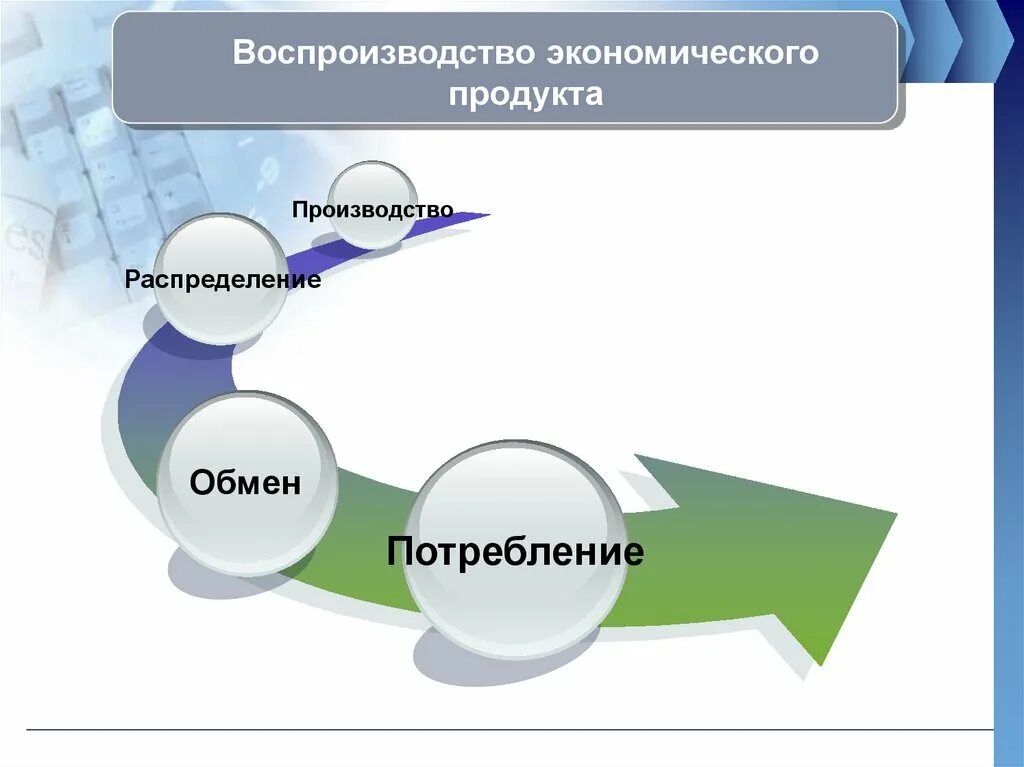 Производство и воспроизводство. Этапы экономического воспроизводства. Стадии воспроизводственного цикла. Воспроизводство это. Воспроизводство экономической системы