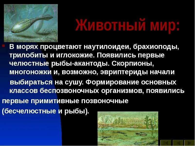Палеозой силур растения. Силурийский период палеозойской эры климат. Палеозойская эра ордовикский период. Бесчелюстные рыбы. Какие организмы существовали в палеозойскую эру моллюски.