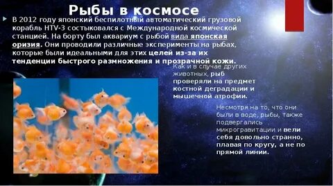 Эксперимент рыба