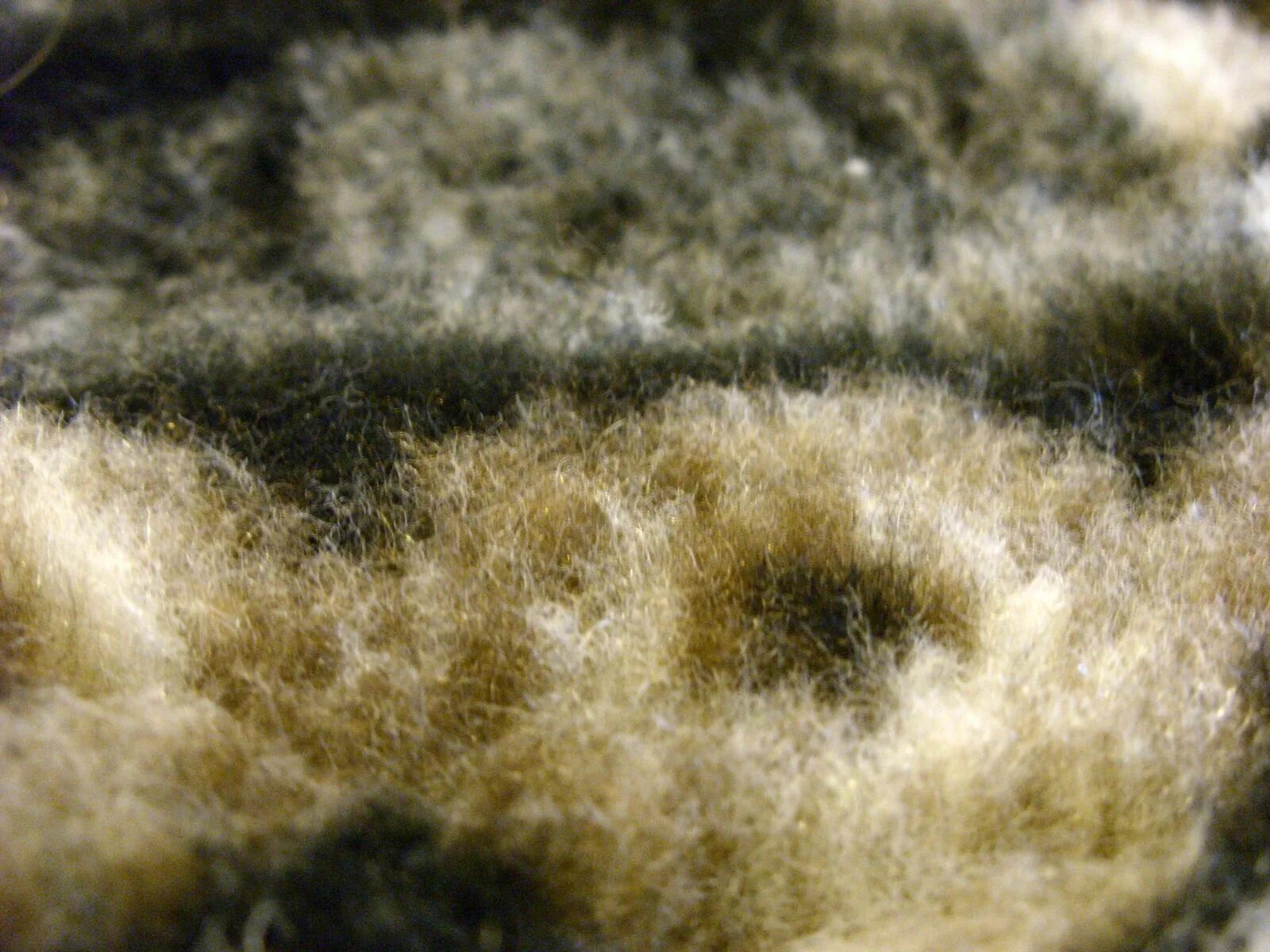 Шерсть зимой. Теплые картины александры федоровой. Лохматая собака. Зимнее панно из шерсти. Шерсть зимой.