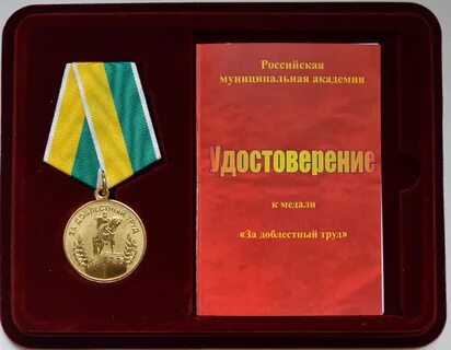 Награждение медали за доблестный труд