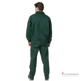 Зеленый охранник