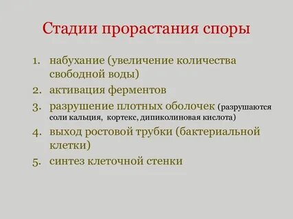 Прорастание споры