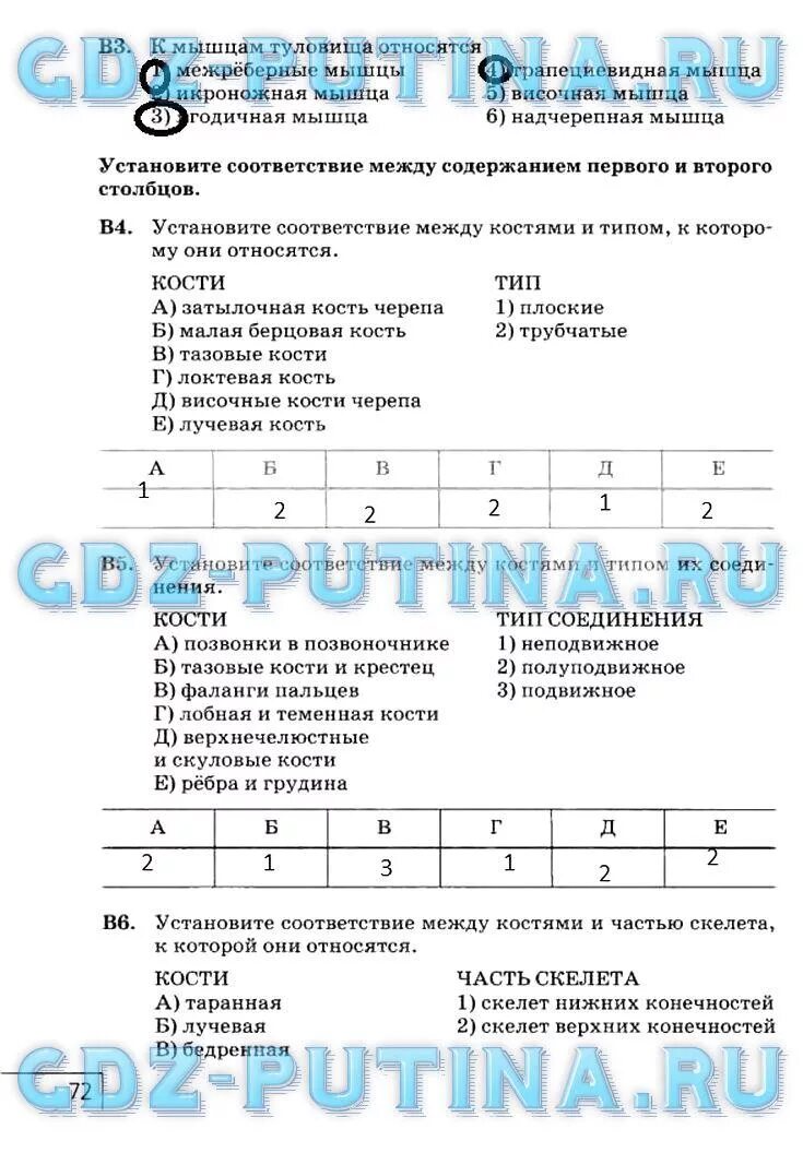 Биология 8 класс рабочая тетрадь агафонова. Установи соответствие между костями и отделами. Установите соответствие между костями и отделами скелета. Решебник по биологии 8 класс. Гдз по биологии 8 класс рабочая тетрадь Сонин Агафонова.