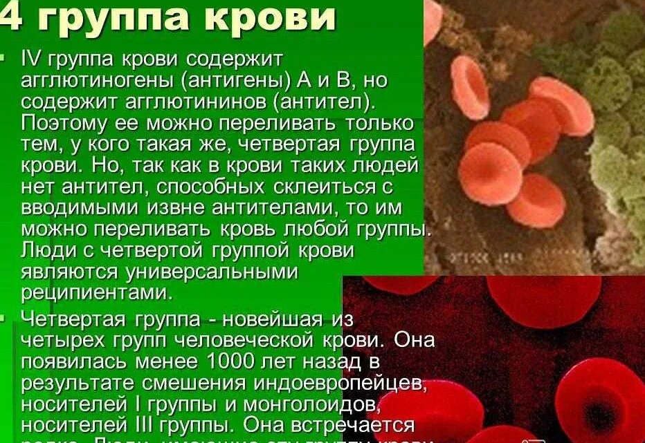 Кровь 4 группы отрицательная характеристика человека. Самая редкая группа крови. Люди с 4 группой крови. Особенности 4 группы. Особенности людей с разными группами крови.