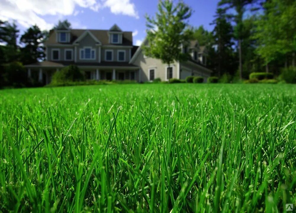 Девочка бежит в поле. Девочка. Девочка на лугу. Девочка в ромашках. Трава у дома девочки.