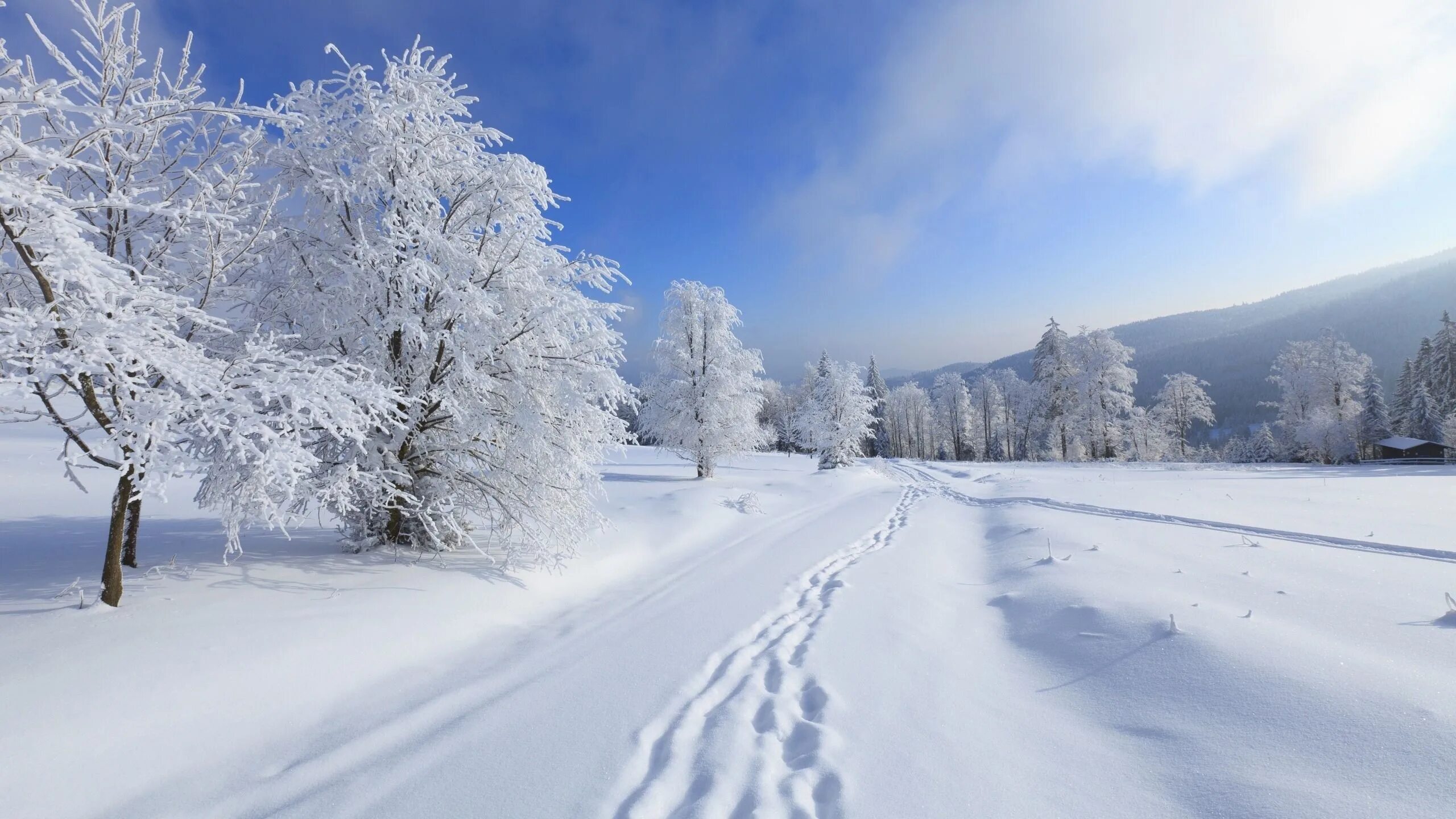 Январские сугробы. Зимняя природа. Зима пейзаж. Снежная зима. Красивая зима.