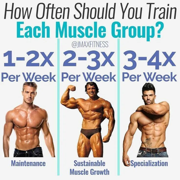 How many times a week. Воркаут эктоморф. Эктоморф кроссфит. How to gain muscle Mass. Ectomorph со штангой лого.