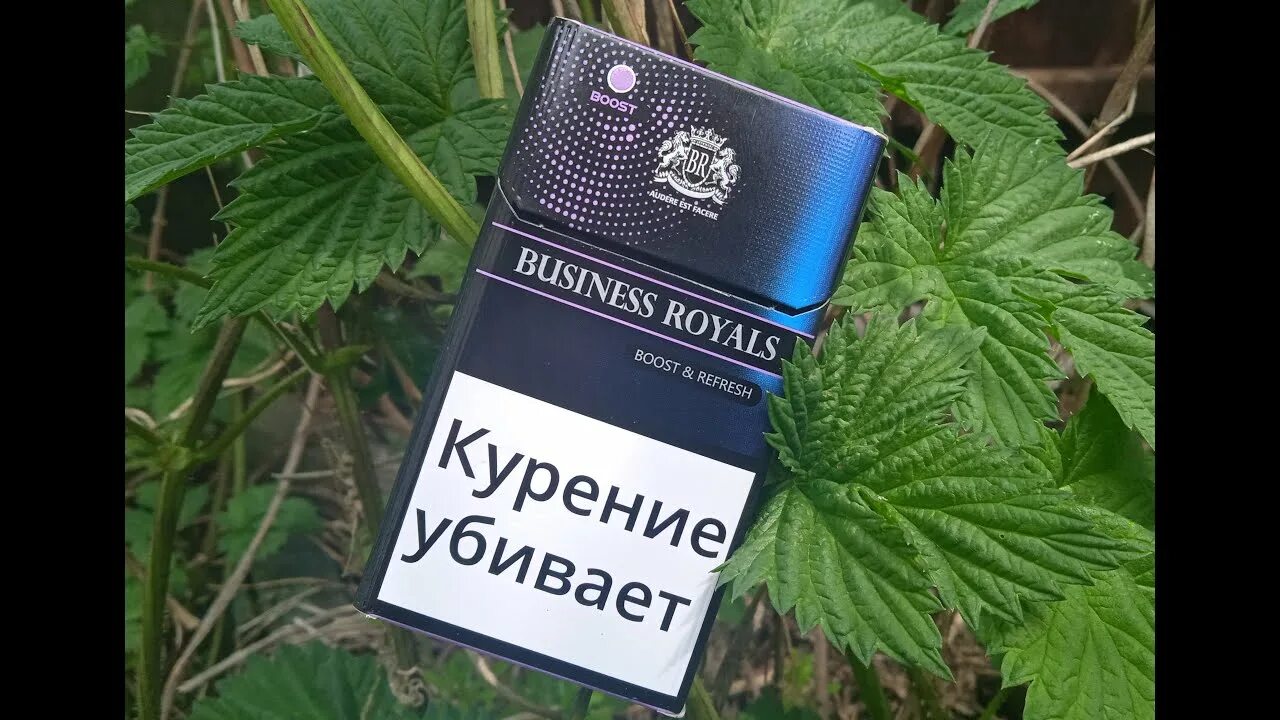 Сигареты Business Royals ментол. Бизнес Роял сигареты с капсулой. Сигареты Business Royals SUPERSLIMS. Сигареты бизнес рояль.