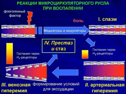 Сосудистая реакция