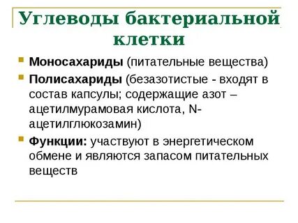 Углевод бактерий