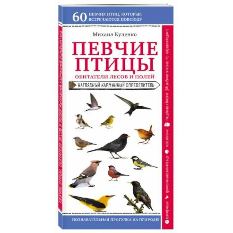 Балл певчих птиц и сонгнаков. Певчие птицы обитатели лесов и полей эксмо. карманный определитель птиц. справочник певчих птиц.