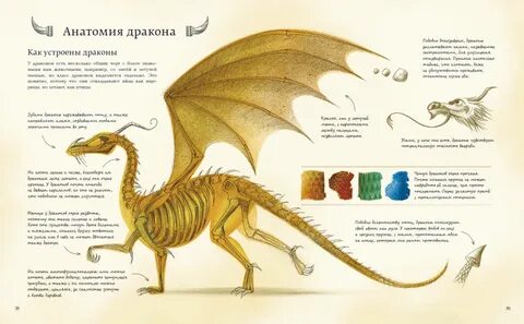 Правила дракона
