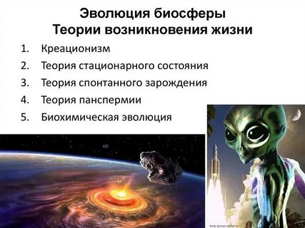 История зарождения жизни