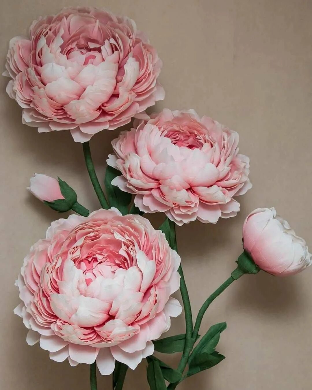 большие цветы пионы. пион из гофробумаги большой. большие цветы пионы. большие цветы пионы. тиффани тернер цветы мастер класс.