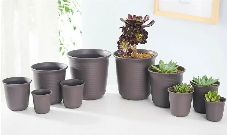 Цветочные горшки в японском стиле. Японские горшки для суккулентов. Bonsai carmona 180607 артикул. Японские горшки для суккулентов. Японские цветочные горшки.