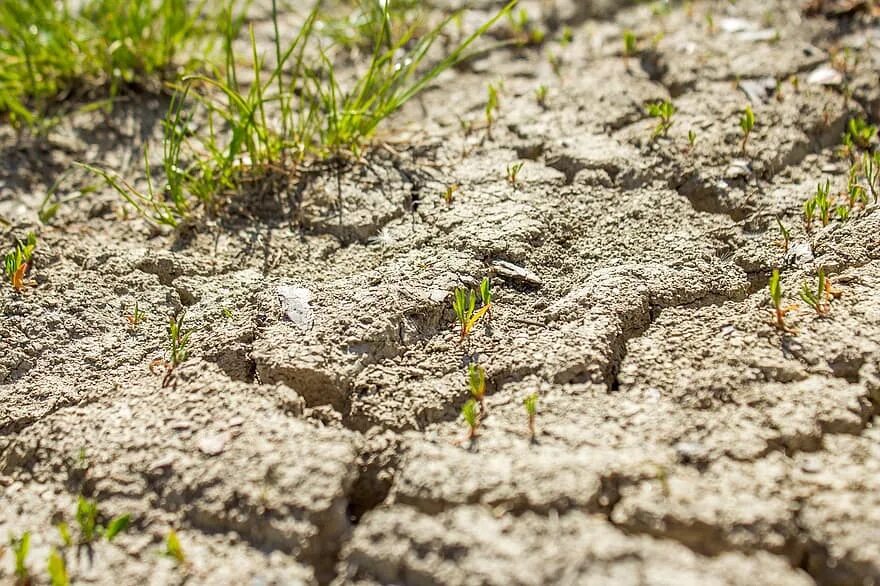 Загрязнение и истощение почвы. Дефицит земель. Истощение почвы. Экология почвы. Дефицит земель.