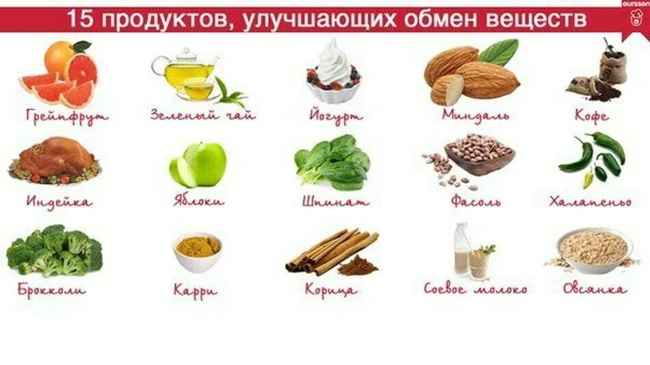 Улучшить обмен. 15 Продуктов улучшающих обмен веществ. Продукты ускоряющие обмен веществ и сжигающие жир. Продукты метаболизма это. Продукты для метаболизма для похудения.