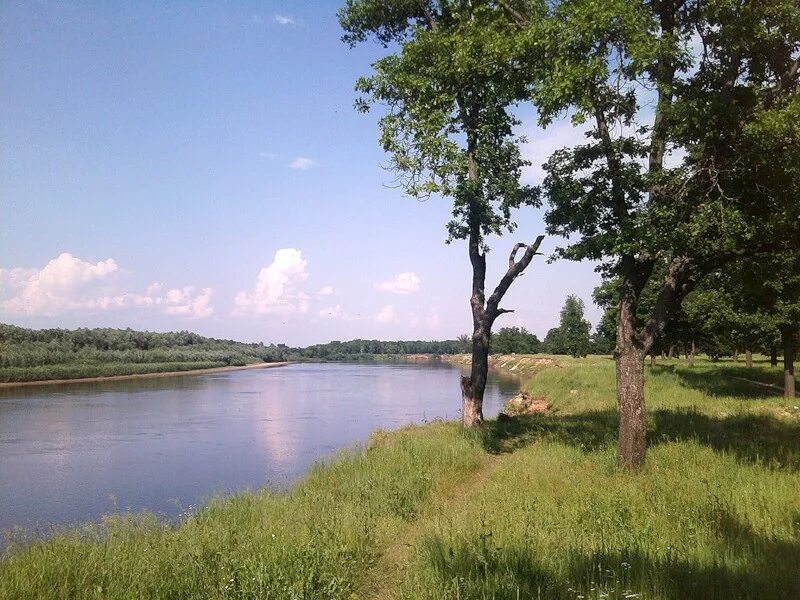 Поселки володарского района нижегородской области. Деревня Соловьево Нижегородская область Володарский район. Озеро инженерное Володарский район. Озеро инженерное Нижегородская. Река в Володарском районе Нижегородской области.