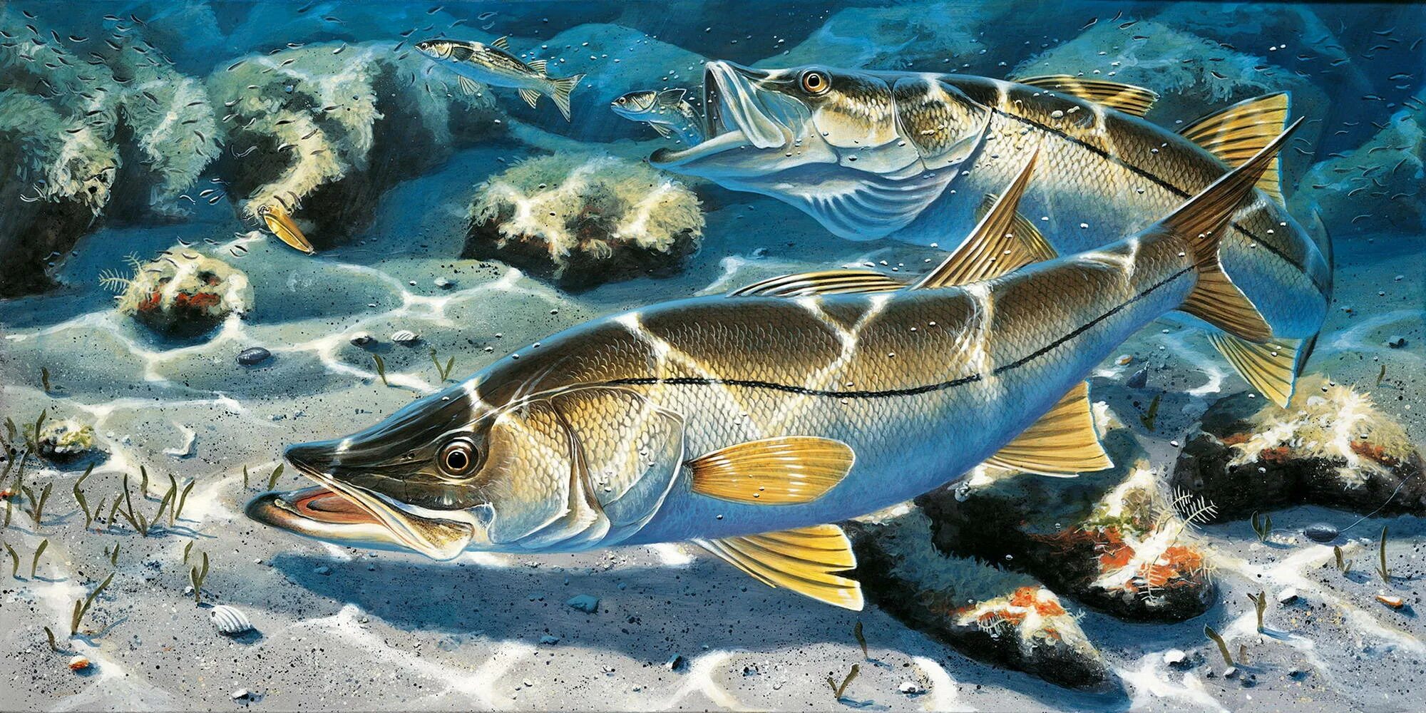 Речные морские обитатели. Ринекант Пикассо рыба. Ал Агнев картины с рыбами.