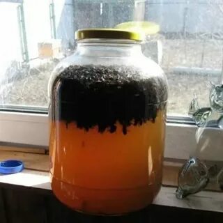 Подмор пчелиный применение для мужчин
