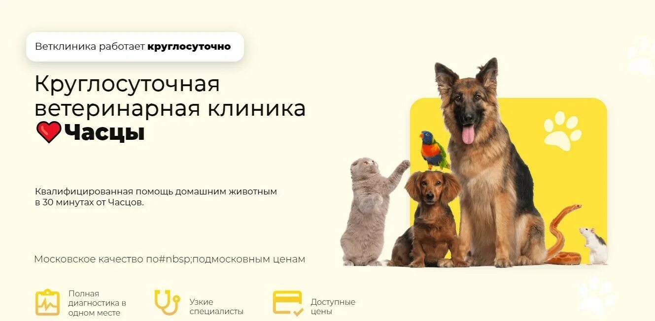 Ветеринарная помощь на дому. Ветеринарная помощь круглосуточно спб. Багира таганрог ветклиника. Ветеринар на дом спб. Ветеринарная помощь.