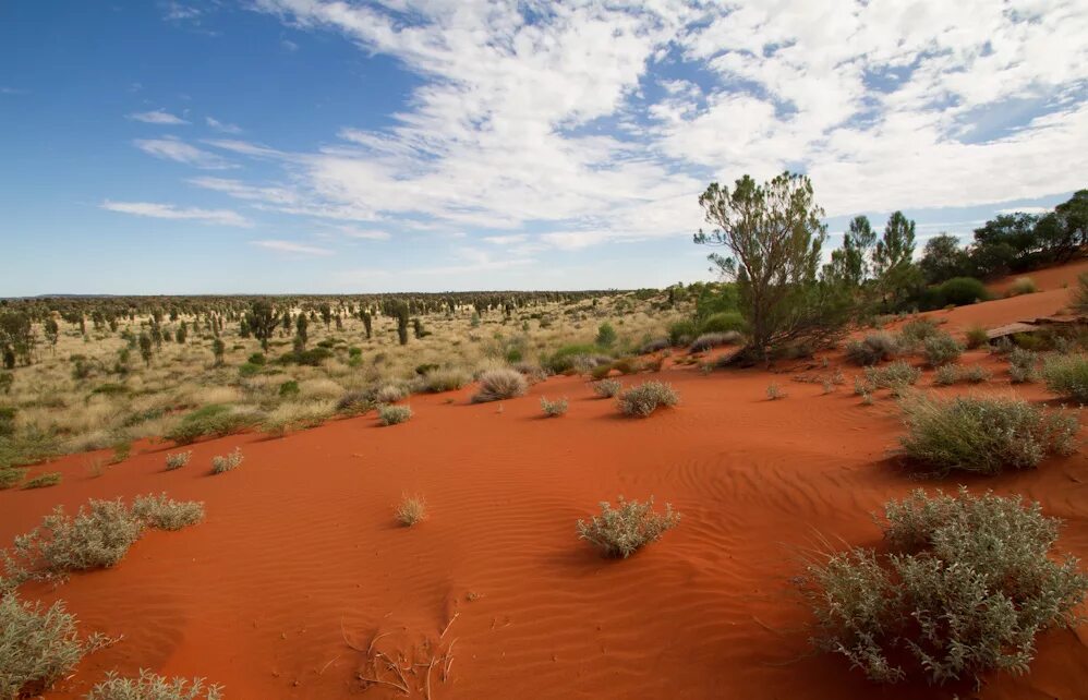 Самую большую площадь занимает пустыня. Great sandy desert австралия. пустыня гибсона. пустыня педирка в австралии. пустыни австралии климат.