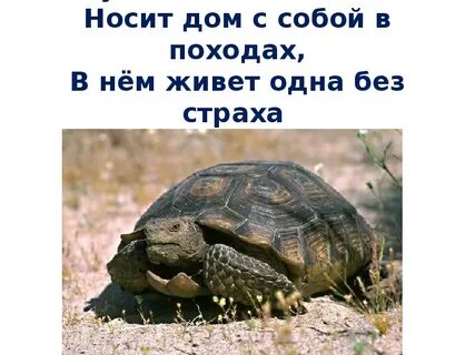 Надел домой