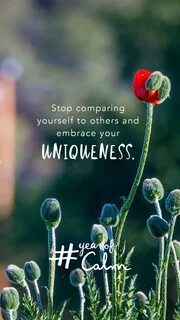 Stop comparing