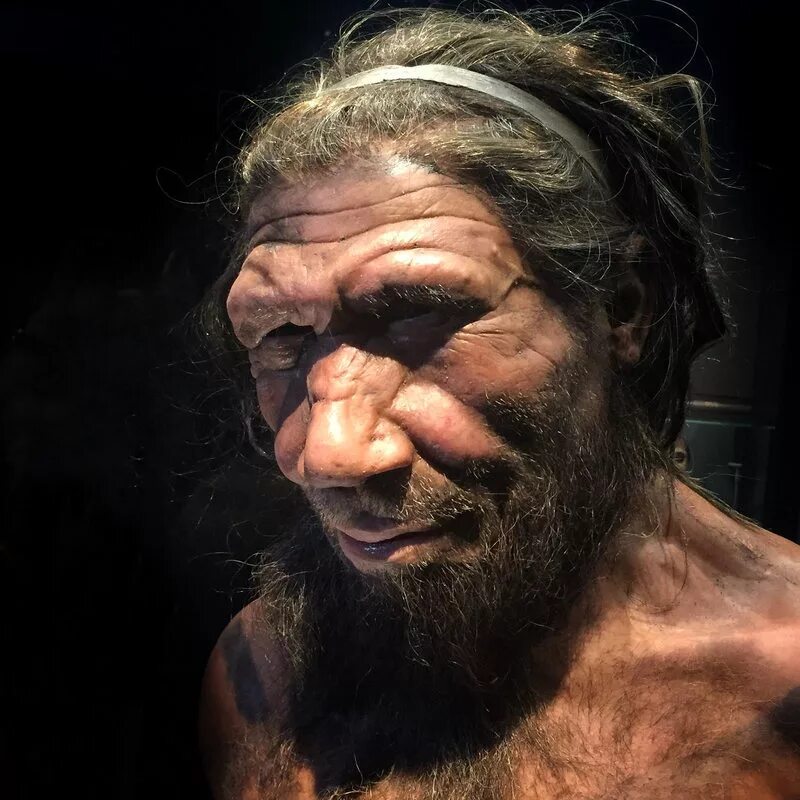 Homo neanderthalensis. Древние люди - палеоантропы, неандертальцы. Homo neanderthalensis. Неандерталец (homo sapiens neanderthalensis). Кроманьонец неандерталец сапиенс сапиенс.