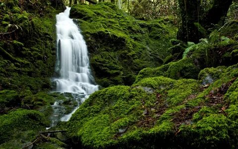 Водопад живая природа или нет
