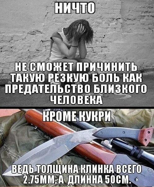 Сдать предателя