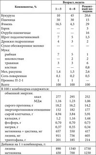 Сколько кормить индоуток