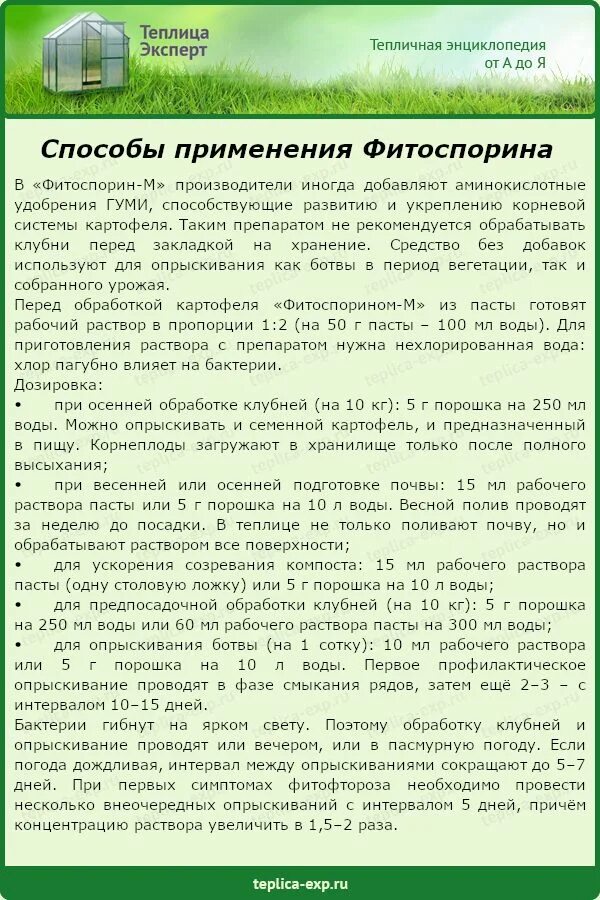 Чем обработать картофель от фитофторы перед посадкой. Обработка клубней картофеля фитоспорином. Опрыскивание клубней картофеля. Фитоспорин почва в теплице. Обработка картофеля от фитофторы.