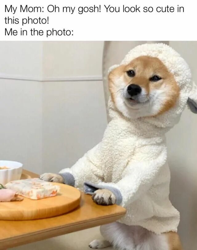 How adorable