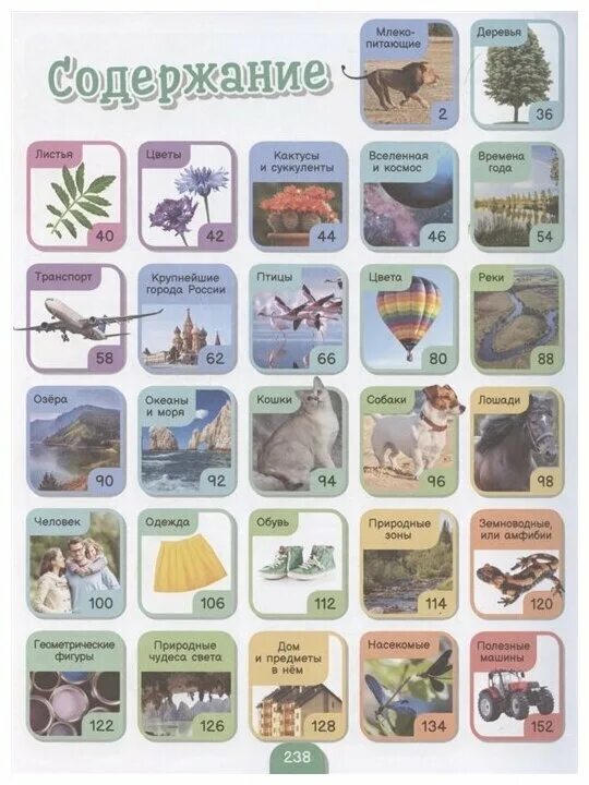 книги целый год. книга целей дизайн\. все мои ребята книга. 5000 картинок которые можно рассматривать целый. 5000 картинок которые можно рассматривать целый год купить.