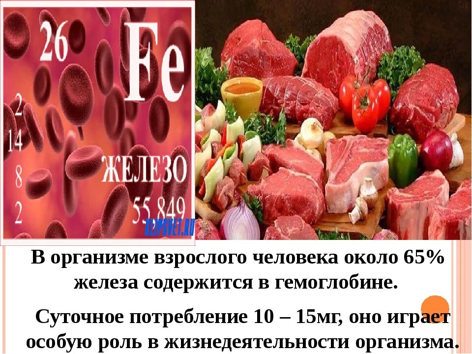 Общее содержание железа в организме человека. Роль железа в организме. Обмен железа в организме человека. В организме взрослого человека содержится железа массой. В организме взрослого человека содержится железа массой.