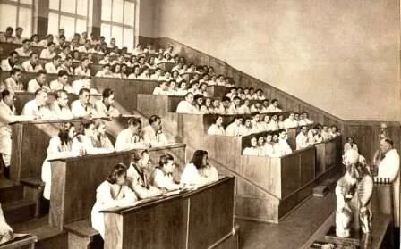Высшее образование 19 века