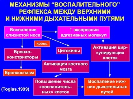 Причина воспалительного процесса