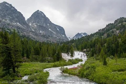 Алтайский край какая сибирь
