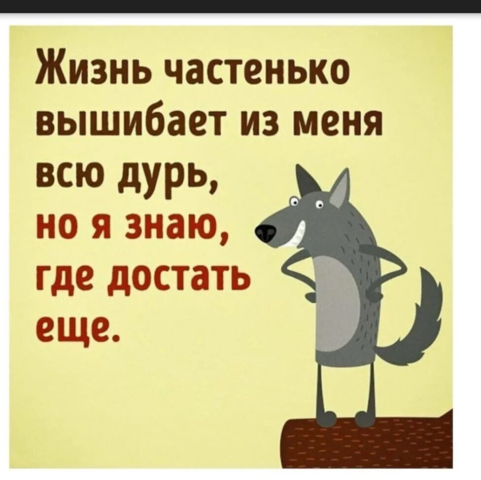 Жизнь вышибает всю дурь. Жизнь частенько вышибает из меня дурь но я знаю где. Жизнь частенько вышибает из меня дурь но я знаю где найти еще. Жизнь частенько вышибает из меня дурь но я знаю где найти еще картинки. Я со всей дури текст