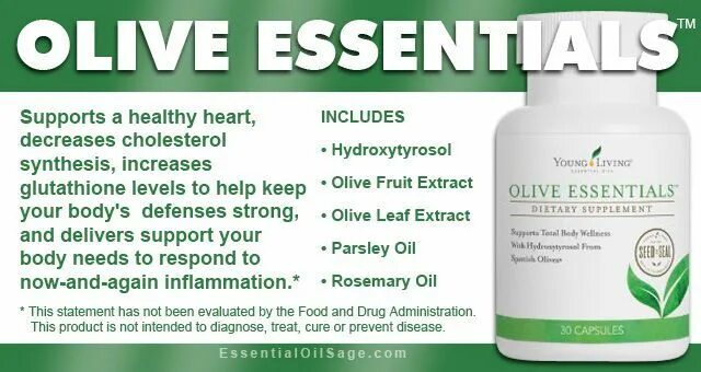 Essential можно. Olive essential oil extract olive plant essence. the essential. бад эссентиаль сша. эссентал сорб энтс.