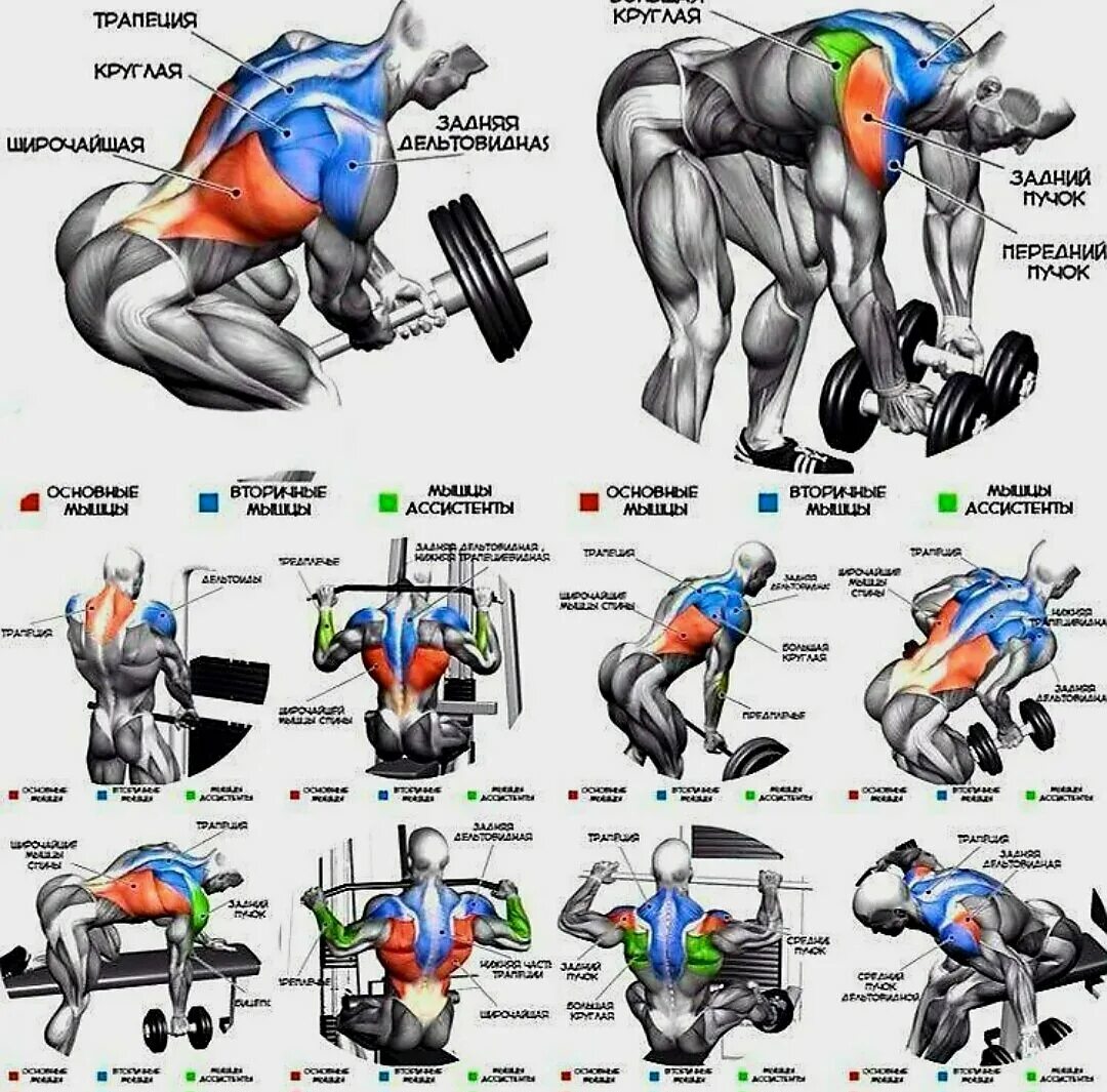 Упражнения для прокачки спины в тренажерном зале. Комплекс упражнений на спину в тренажерном зале для мужчин. Упражнения на широчайшие мышцы спины в тренажерном зале. Упражнения на широчайшие мышцы спины в тренажерном зале для мужчин.